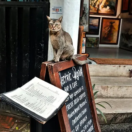 9Ine Thamel Hotel